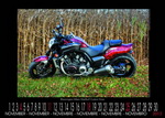 CIRCUS VMAXIMUS Calendar 2012